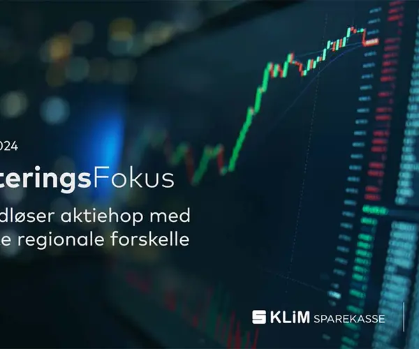 Investeringsfokus