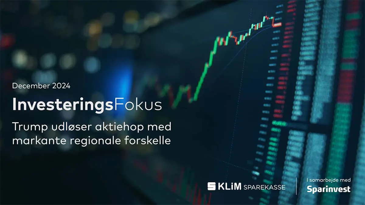 Investeringsfokus